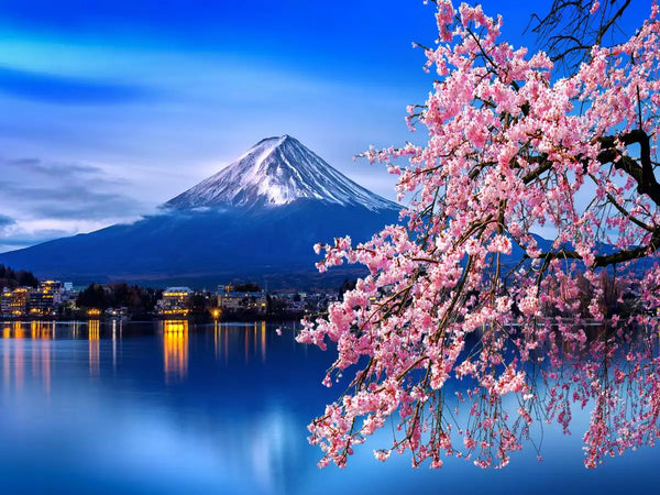'Wee Flower'- Japanese Cherry Blossom